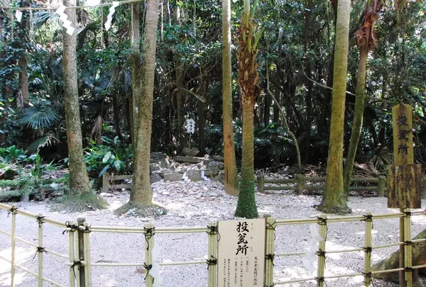 青島神社の写真・動画_image_242510