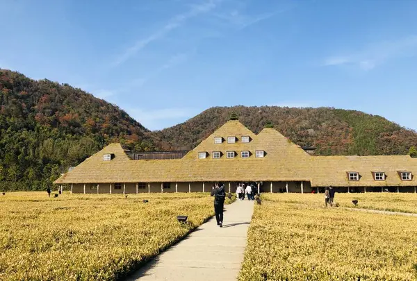 ラコリーナ近江八幡の写真・動画_image_242612