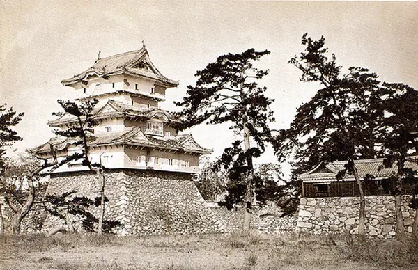 玉藻公園の写真・動画_image_243044