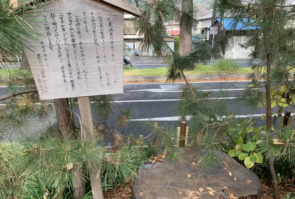 東海道松並木の写真・動画_image_243174