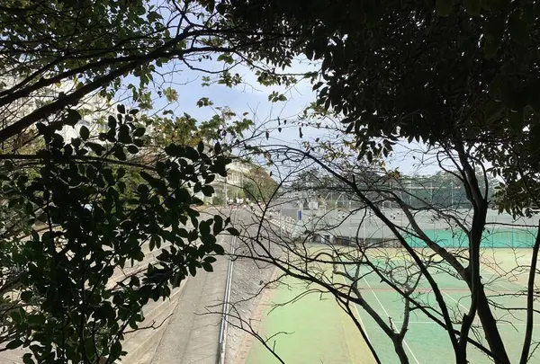 大磯中学校の写真・動画_image_243179