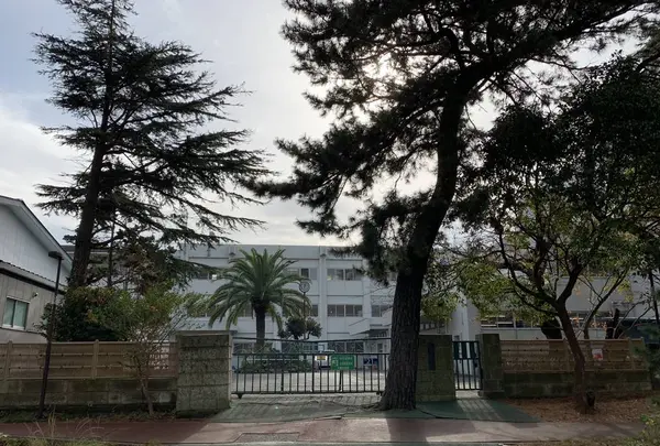 大磯中学校の写真・動画_image_243180