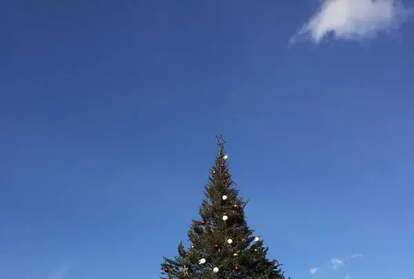 金森赤レンガ倉庫の写真・動画_image_243201