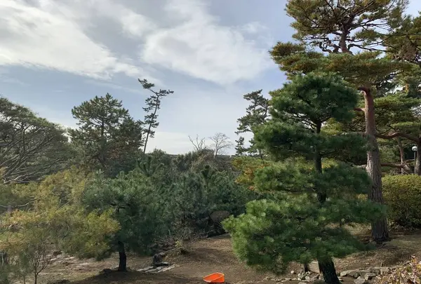 旧大隈重信邸の写真・動画_image_243210