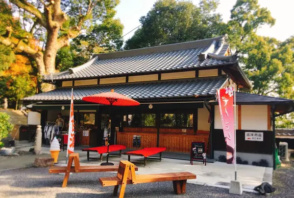 梧桐庵の写真・動画_image_243507