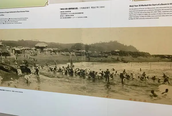 照ヶ崎海岸の写真・動画_image_243608
