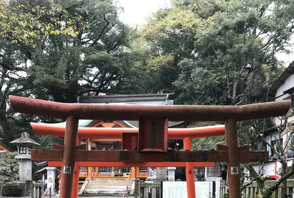 若宮稲荷神社の写真・動画_image_243611