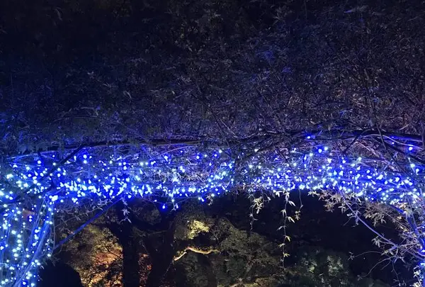 グラバー園の写真・動画_image_243654