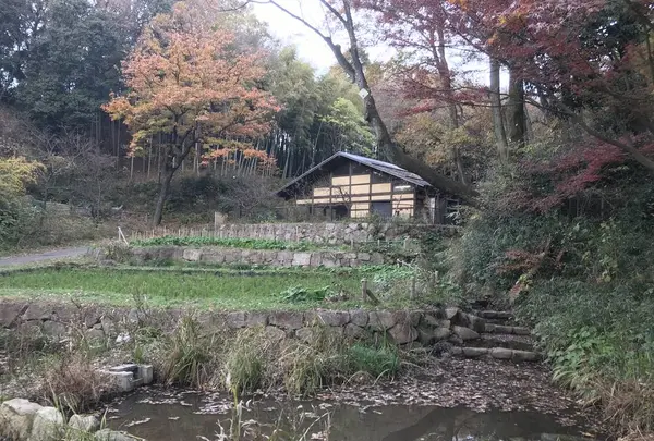 大塚・歳勝土遺跡の写真・動画_image_243812