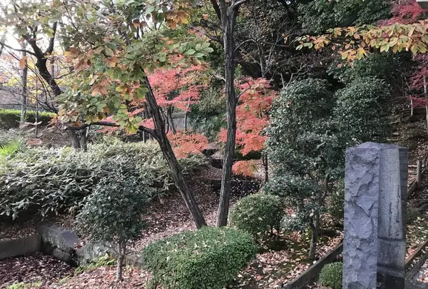 大塚・歳勝土遺跡の写真・動画_image_243816