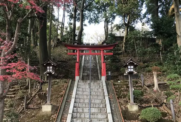 大塚・歳勝土遺跡の写真・動画_image_243819