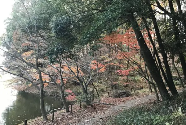 大塚・歳勝土遺跡の写真・動画_image_243820