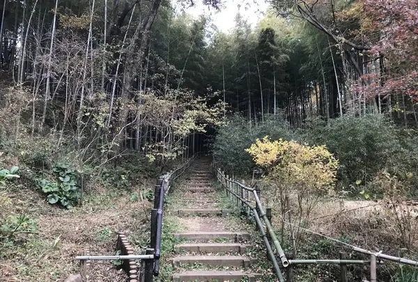 大塚・歳勝土遺跡の写真・動画_image_243822
