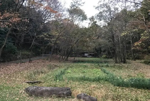 大塚・歳勝土遺跡の写真・動画_image_243823