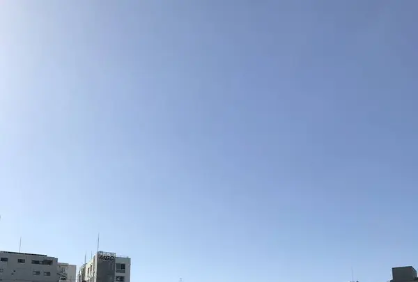 出島の写真・動画_image_244003