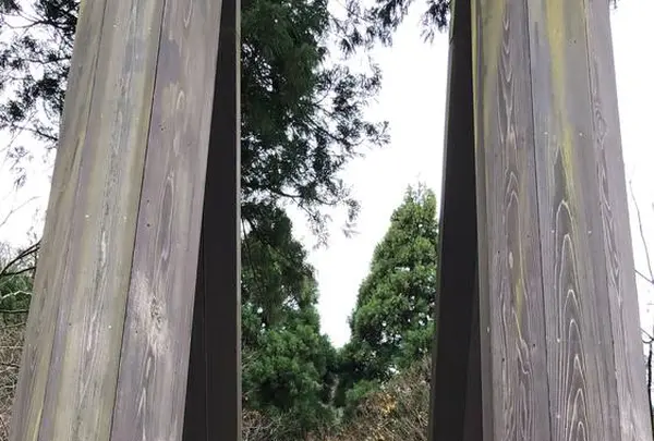 かずら橋の写真・動画_image_244027