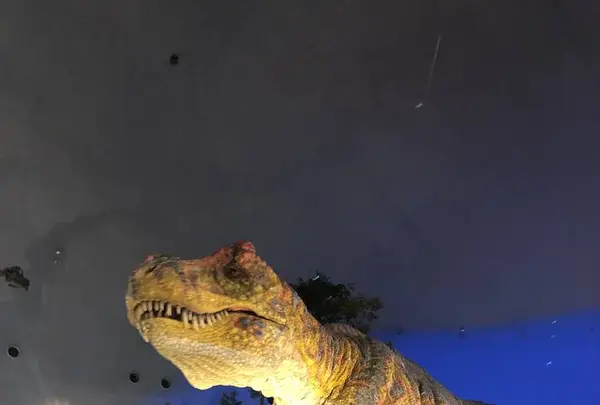 福井県立恐竜博物館の写真・動画_image_244028