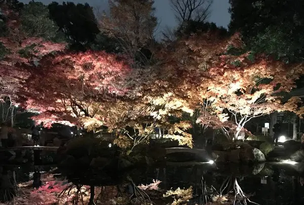 大田黒公園の写真・動画_image_244059