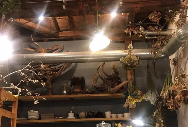 cotito ハナトオカシトの写真・動画_image_244064