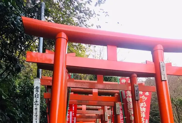佐助稲荷神社の写真・動画_image_244129