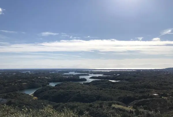 横山展望台の写真・動画_image_244160