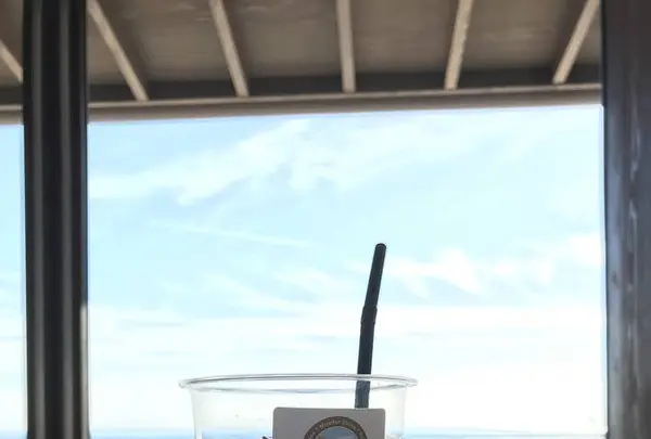 横山展望台の写真・動画_image_244162