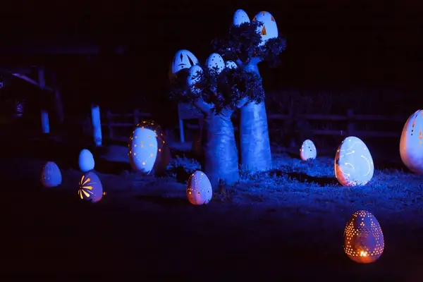 ニジゲンノモリ ナイトウォーク 火の鳥の写真・動画_image_244255