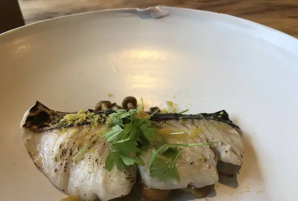 Kaji synergy restaurantの写真・動画_image_244475