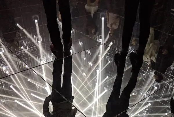 【閉業】森ビルデジタルアートミュージアム：エプソン チームラボボーダレス（MORI Building Digital Art Museum: EPSON teamLab Borderless）の写真・動画_image_244606