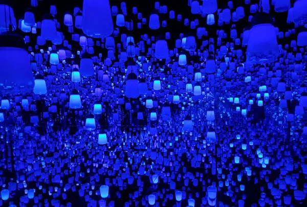 【閉業】森ビルデジタルアートミュージアム：エプソン チームラボボーダレス（MORI Building Digital Art Museum: EPSON teamLab Borderless）の写真・動画_image_244610