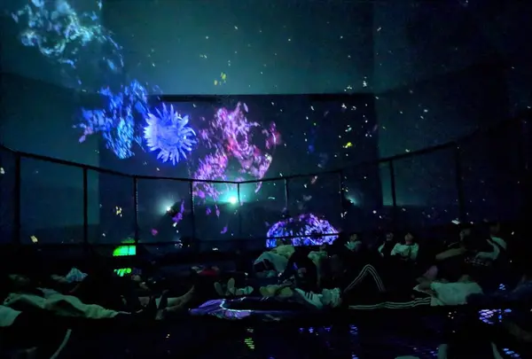 【閉業】森ビルデジタルアートミュージアム：エプソン チームラボボーダレス（MORI Building Digital Art Museum: EPSON teamLab Borderless）の写真・動画_image_244612