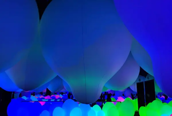 【閉業】森ビルデジタルアートミュージアム：エプソン チームラボボーダレス（MORI Building Digital Art Museum: EPSON teamLab Borderless）の写真・動画_image_244621