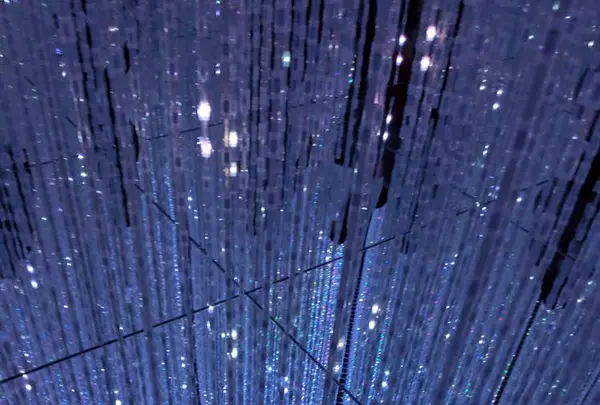 【閉業】森ビルデジタルアートミュージアム：エプソン チームラボボーダレス（MORI Building Digital Art Museum: EPSON teamLab Borderless）の写真・動画_image_244622