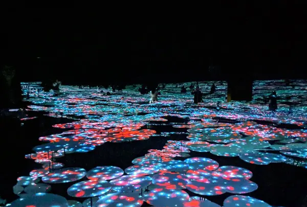 【閉業】森ビルデジタルアートミュージアム：エプソン チームラボボーダレス（MORI Building Digital Art Museum: EPSON teamLab Borderless）の写真・動画_image_244623