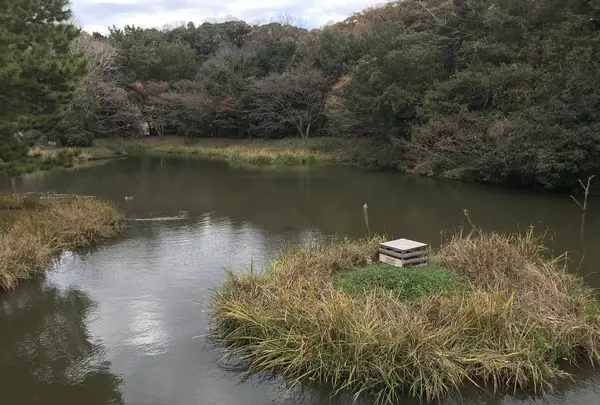 神奈川県立金沢文庫の写真・動画_image_244654