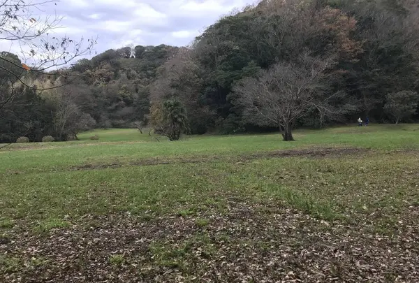 神奈川県立金沢文庫の写真・動画_image_244666