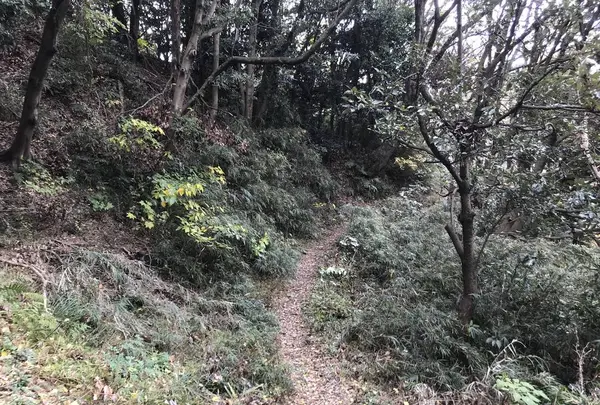 神奈川県立金沢文庫の写真・動画_image_244673
