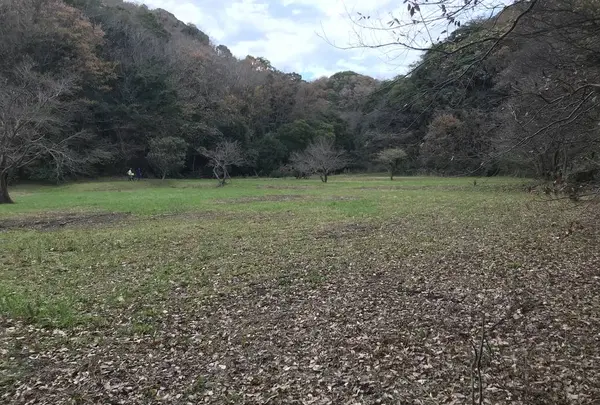 神奈川県立金沢文庫の写真・動画_image_244676