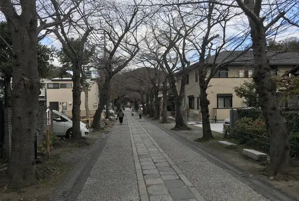 神奈川県立金沢文庫の写真・動画_image_244678