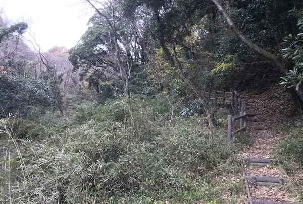 神奈川県立金沢文庫の写真・動画_image_244681