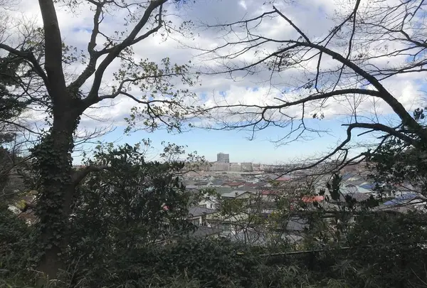 神奈川県立金沢文庫の写真・動画_image_244682