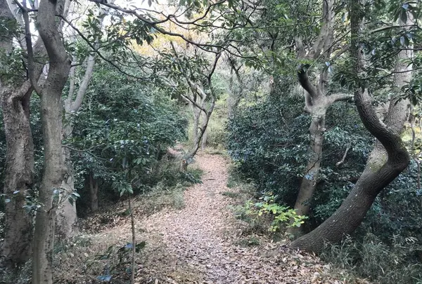 神奈川県立金沢文庫の写真・動画_image_244688