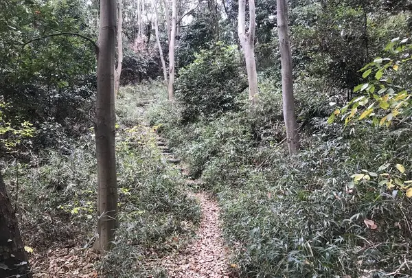 神奈川県立金沢文庫の写真・動画_image_244689