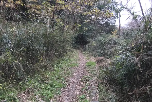 神奈川県立金沢文庫の写真・動画_image_244690