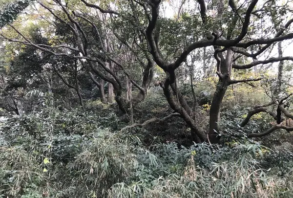 神奈川県立金沢文庫の写真・動画_image_244697