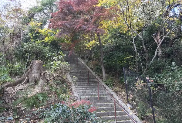 神奈川県立金沢文庫の写真・動画_image_244698