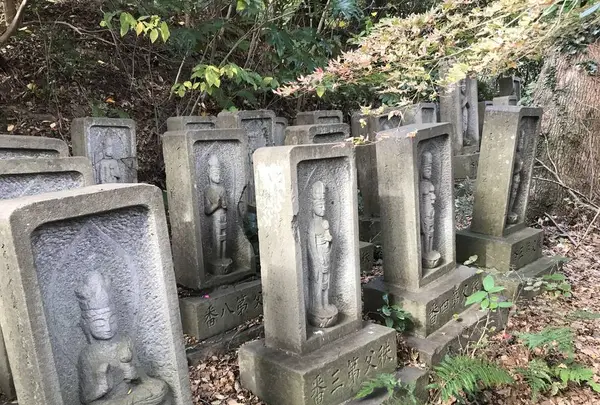 神奈川県立金沢文庫の写真・動画_image_244699