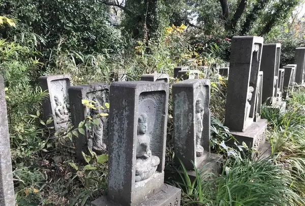 神奈川県立金沢文庫の写真・動画_image_244704