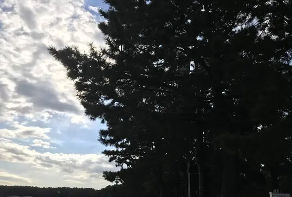 旧伊藤博文金沢別邸の写真・動画_image_244709