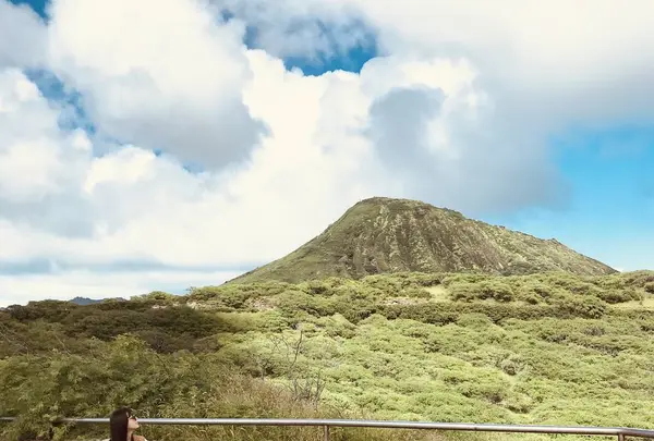 Hanauma Bay Nature Parkの写真・動画_image_245047